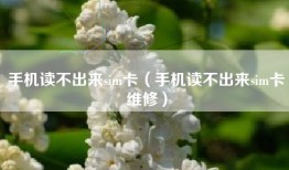 手机读不出来sim卡（手机读不出来sim卡维修）