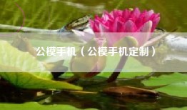 公模手机（公模手机定制）