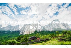 野猪是不是二级保护动物(野猪是不是保护动物)