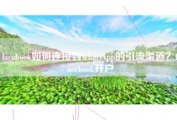 facebook如何连接到WhatsApp的引流渠道？facebook开户