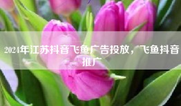 2024年江苏抖音飞鱼广告投放，飞鱼抖音推广