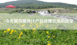 今天跟百度统计产品经理交流的感受
