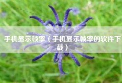 手机显示帧率（手机显示帧率的软件下载）