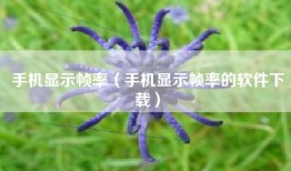 手机显示帧率（手机显示帧率的软件下载）