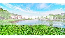 低价购手机（低价购买手机）