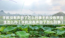 手机没有声音了怎么回事手机没有声音了怎么办「手机没有声音了怎么回事」