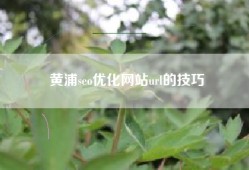 黄浦seo优化网站url的技巧