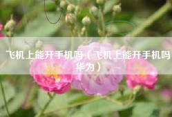 飞机上能开手机吗（飞机上能开手机吗华为）