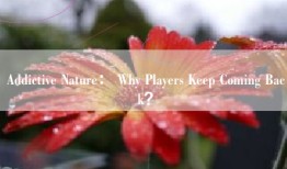 Addictive Nature： Why Players Keep Coming Back？