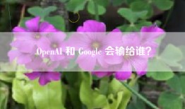 OpenAI 和 Google 会输给谁？