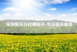 深圳报关行代理报关-专注报关服务