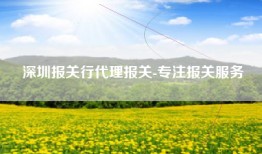 深圳报关行代理报关-专注报关服务