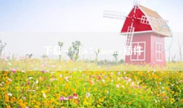 下载+ v1.6.7 Chrome插件