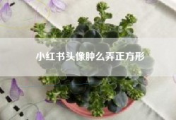 小红书头像肿么弄正方形