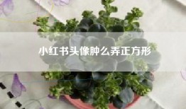 小红书头像肿么弄正方形