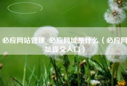 必应网站管理_必应网址是什么（必应网址提交入口）