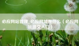 必应网站管理_必应网址是什么（必应网址提交入口）