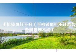 手机锁屏打不开（手机锁屏打不开怎么办屏幕划不动）