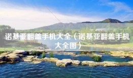 诺基亚翻盖手机大全（诺基亚翻盖手机大全图）