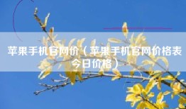 苹果手机官网价（苹果手机官网价格表今日价格）