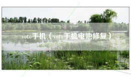 voto手机（voto手机电池修复）