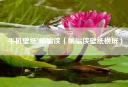 手机壁纸 蝙蝠侠（蝙蝠侠壁纸横屏）