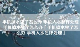 手机掉水里了怎么办 手机入水怎样处理手机掉水里了怎么办「手机掉水里了怎么办 手机入水怎样处理」