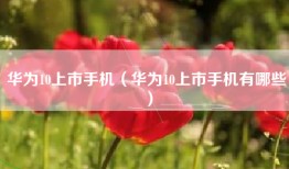 华为10上市手机（华为10上市手机有哪些）