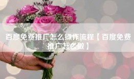 百度免费推广怎么操作流程【百度免费推广怎么做】