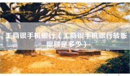 工商银手机银行（工商银手机银行转账限额是多少）