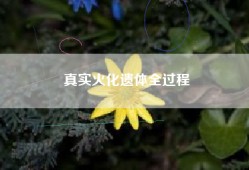 真实火化遗体全过程
