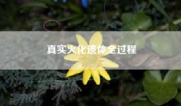 真实火化遗体全过程