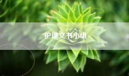 护理文书小组