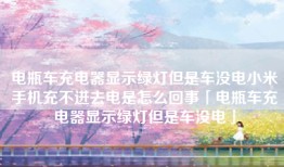 电瓶车充电器显示绿灯但是车没电小米手机充不进去电是怎么回事「电瓶车充电器显示绿灯但是车没电」