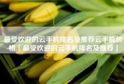 最受欢迎的云手机排名及推荐云手机价格「最受欢迎的云手机排名及推荐」