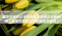 最受欢迎的云手机排名及推荐云手机价格「最受欢迎的云手机排名及推荐」