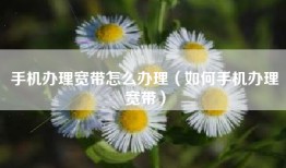 手机办理宽带怎么办理（如何手机办理宽带）
