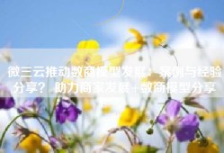 微三云推动数商模型发展：案例与经验分享？ 助力商家发展+数商模型分享