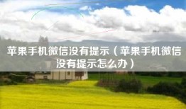 苹果手机微信没有提示（苹果手机微信没有提示怎么办）