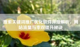 搜索关键词推广优化软件深度解析，网站流量与率双提升秘诀
