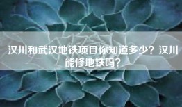 汉川和武汉地铁项目你知道多少？汉川能修地铁吗？