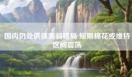 国内仍处供强需弱格局 短期棉花或维持区间震荡
