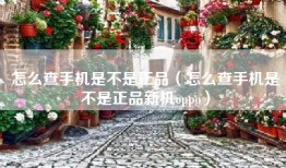怎么查手机是不是正品（怎么查手机是不是正品新机oppo）