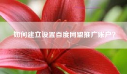 如何建立设置百度网盟推广账户？