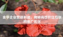 金华企业营销利器，揭秘高性价比互联网推广优化