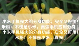 小米手机强大的分身功能，安全又好用！米粉：不愧是小米，真强手机应用分身「小米手机强大的分身功能，安全又好用！米粉：不愧是小米，真强」