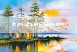 雅迪电动车的充电口在哪里？