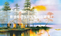 雅迪电动车的充电口在哪里？