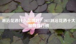 淋浴花洒什么品牌好？2022淋浴花洒十大品牌排行榜