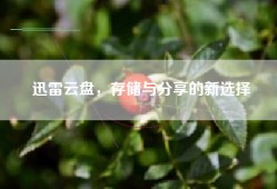 迅雷云盘，存储与分享的新选择